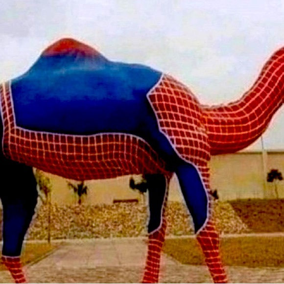 Meet your Posher, Madison - Picture 1 of 1